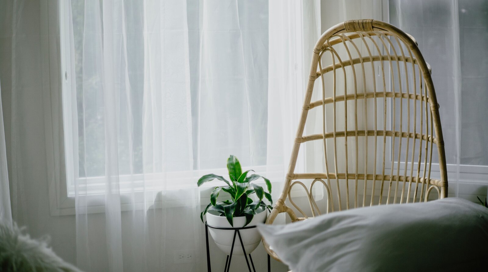 Heller Behandlungsraum mit Pflanzen am Fenster